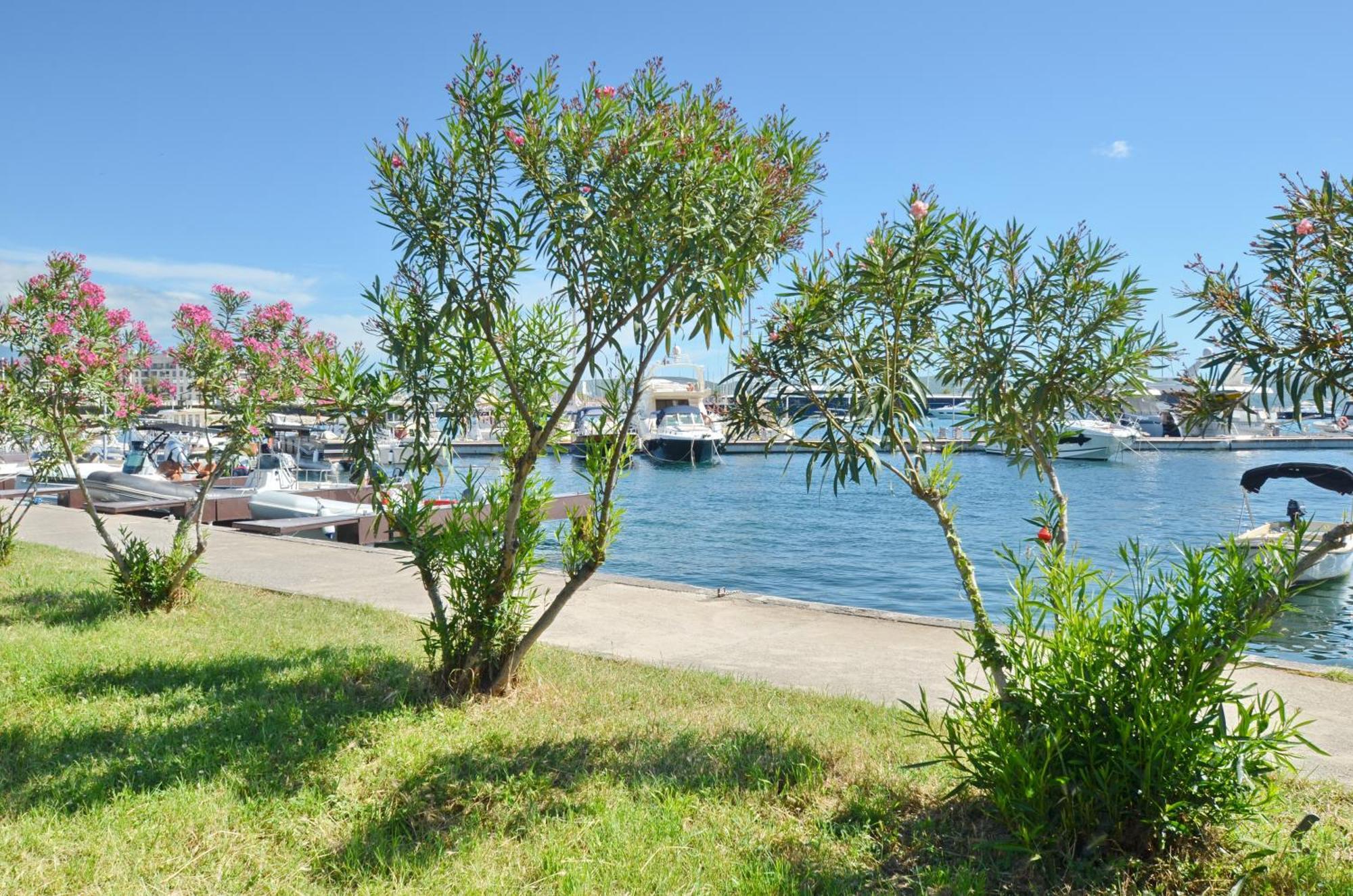 Trojanovic Apartments Tivat Luaran gambar